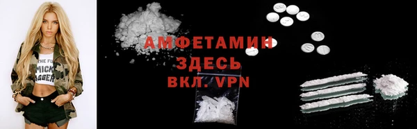 дмт Нея