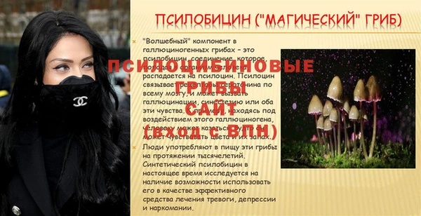 дмт Нея