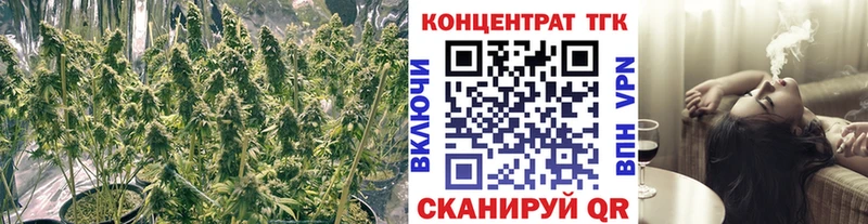 Дистиллят ТГК Wax  Купить  Хабаровск 